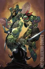 Variant Cover for Teenage Mutant Ninja Turtles #1