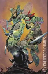 Variant Cover for Teenage Mutant Ninja Turtles #1