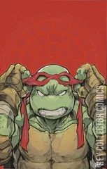 Variant Cover for Teenage Mutant Ninja Turtles #1