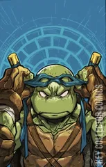 Variant Cover for Teenage Mutant Ninja Turtles #1
