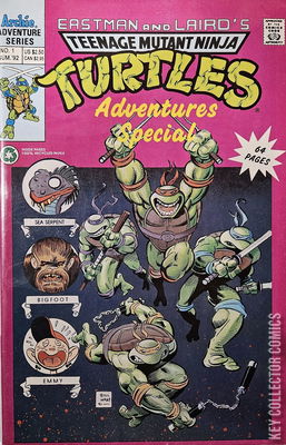Teenage Mutant Ninja Turtles Adventures Special