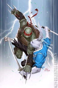 Teenage Mutant Ninja Turtles / Usagi Yojimbo: WhereWhen #1 