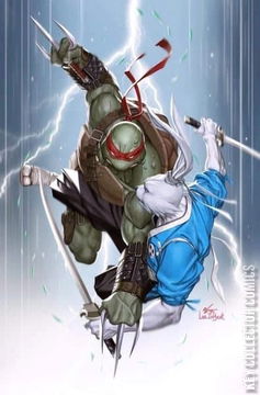 Variant Cover for Teenage Mutant Ninja Turtles / Usagi Yojimbo: WhereWhen #1