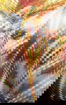 Variant Cover for The Boys #1