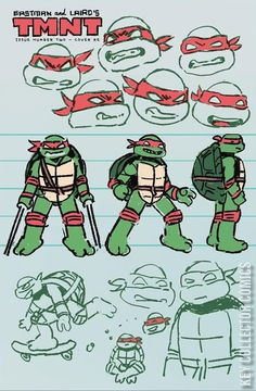 Variant Cover for Teenage Mutant Ninja Turtles #2