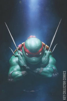 Teenage Mutant Ninja Turtles