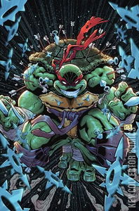 Teenage Mutant Ninja Turtles #1