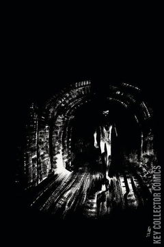 Variant Cover for He Who Fights With Monsters #4