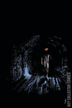 Variant Cover for He Who Fights With Monsters #4