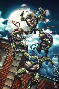 Teenage Mutant Ninja Turtles #1
