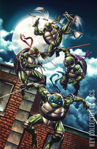 Teenage Mutant Ninja Turtles