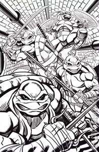 Teenage Mutant Ninja Turtles #1 