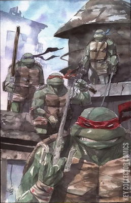 Teenage Mutant Ninja Turtles