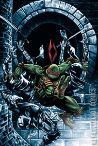 Teenage Mutant Ninja Turtles #1