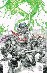 Variant Cover for Teenage Mutant Ninja Turtles #1