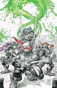 Teenage Mutant Ninja Turtles #1 