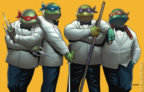Variant Cover for Teenage Mutant Ninja Turtles #1