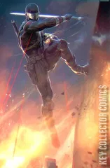 Variant Cover for G.I. Joe: A Real American Hero #309