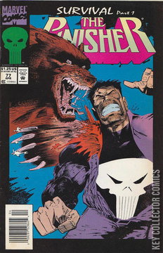 Variant Cover for Punisher #77