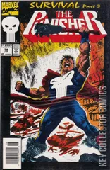 Variant Cover for Punisher #79