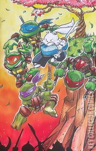 Teenage Mutant Ninja Turtles / Usagi Yojimbo: WhereWhen #5