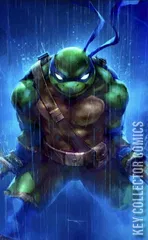 Variant Cover for Teenage Mutant Ninja Turtles / Usagi Yojimbo: WhereWhen #3