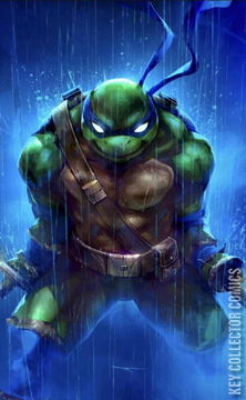 Variant Cover for Teenage Mutant Ninja Turtles / Usagi Yojimbo: WhereWhen #3