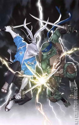 Teenage Mutant Ninja Turtles / Usagi Yojimbo: WhereWhen