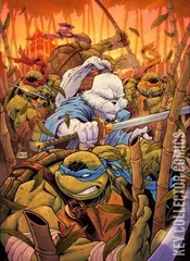 Variant Cover for Teenage Mutant Ninja Turtles / Usagi Yojimbo: WhereWhen #1
