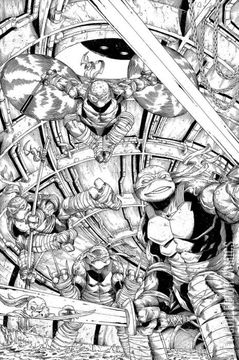 Variant Cover for Teenage Mutant Ninja Turtles / Usagi Yojimbo: WhereWhen #1