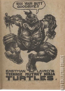 Teenage Mutant Ninja Turtles #2