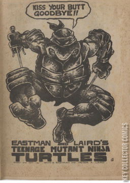 Variant Cover for Teenage Mutant Ninja Turtles #2