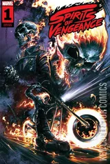 Variant Cover for Spirits of Vengeance #1