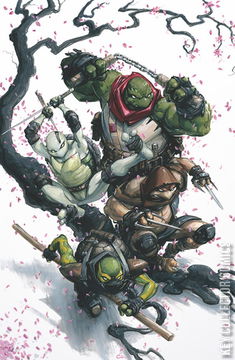 Variant Cover for Teenage Mutant Ninja Turtles: The Last Ronin II - ReEvolution #1