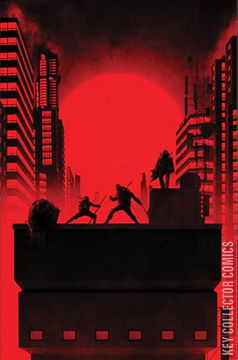 Variant Cover for Teenage Mutant Ninja Turtles: The Last Ronin II - ReEvolution #1