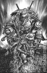 Teenage Mutant Ninja Turtles: The Last Ronin - ReEvolution #1 