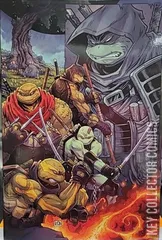 Variant Cover for Teenage Mutant Ninja Turtles: The Last Ronin II - ReEvolution #1