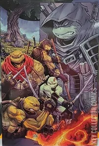 Teenage Mutant Ninja Turtles: The Last Ronin II - ReEvolution #1