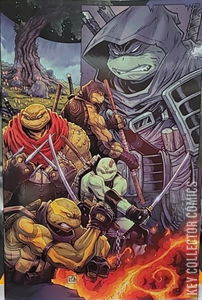 Teenage Mutant Ninja Turtles: The Last Ronin - ReEvolution #1