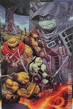 Variant Cover for Teenage Mutant Ninja Turtles: The Last Ronin II - ReEvolution #1