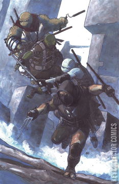 Variant Cover for Teenage Mutant Ninja Turtles: The Last Ronin II - ReEvolution #1