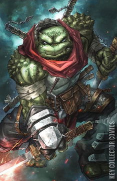 Variant Cover for Teenage Mutant Ninja Turtles: The Last Ronin II - ReEvolution #2