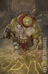 Variant Cover for Teenage Mutant Ninja Turtles: The Last Ronin II - ReEvolution #2