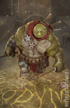 Variant Cover for Teenage Mutant Ninja Turtles: The Last Ronin II - ReEvolution #2