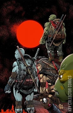 Variant Cover for Teenage Mutant Ninja Turtles: The Last Ronin II - ReEvolution #1