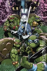 Variant Cover for Teenage Mutant Ninja Turtles / Usagi Yojimbo - Saturday Morning Adventures #1