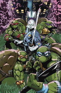 Teenage Mutant Ninja Turtles / Usagi Yojimbo - Saturday Morning Adventures #1 