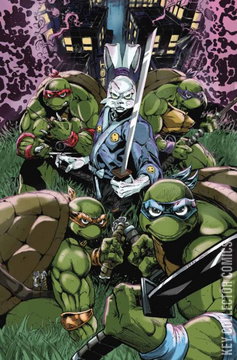 Variant Cover for Teenage Mutant Ninja Turtles / Usagi Yojimbo - Saturday Morning Adventures #1