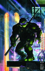 Variant Cover for Teenage Mutant Ninja Turtles #2