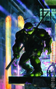 Teenage Mutant Ninja Turtles #2 